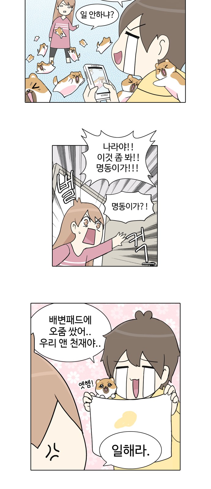 14 페이지