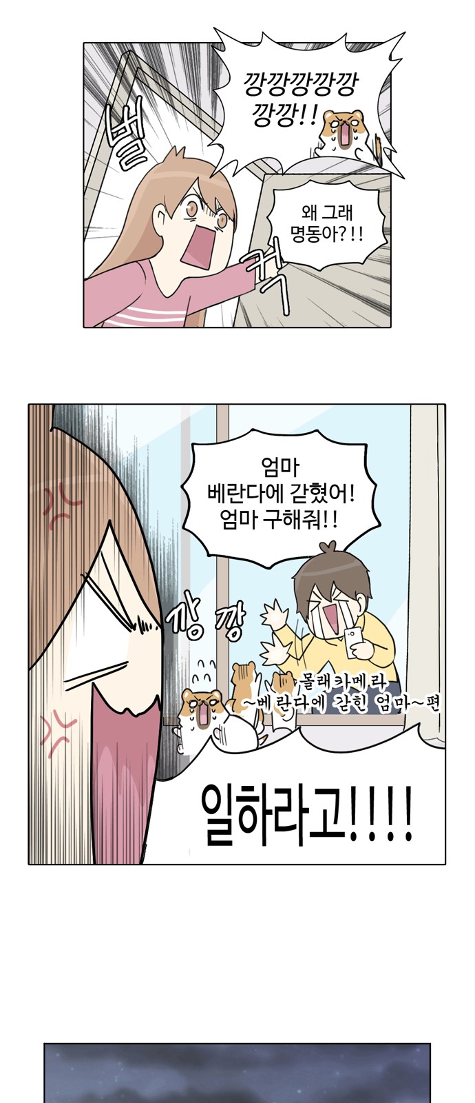 15 페이지