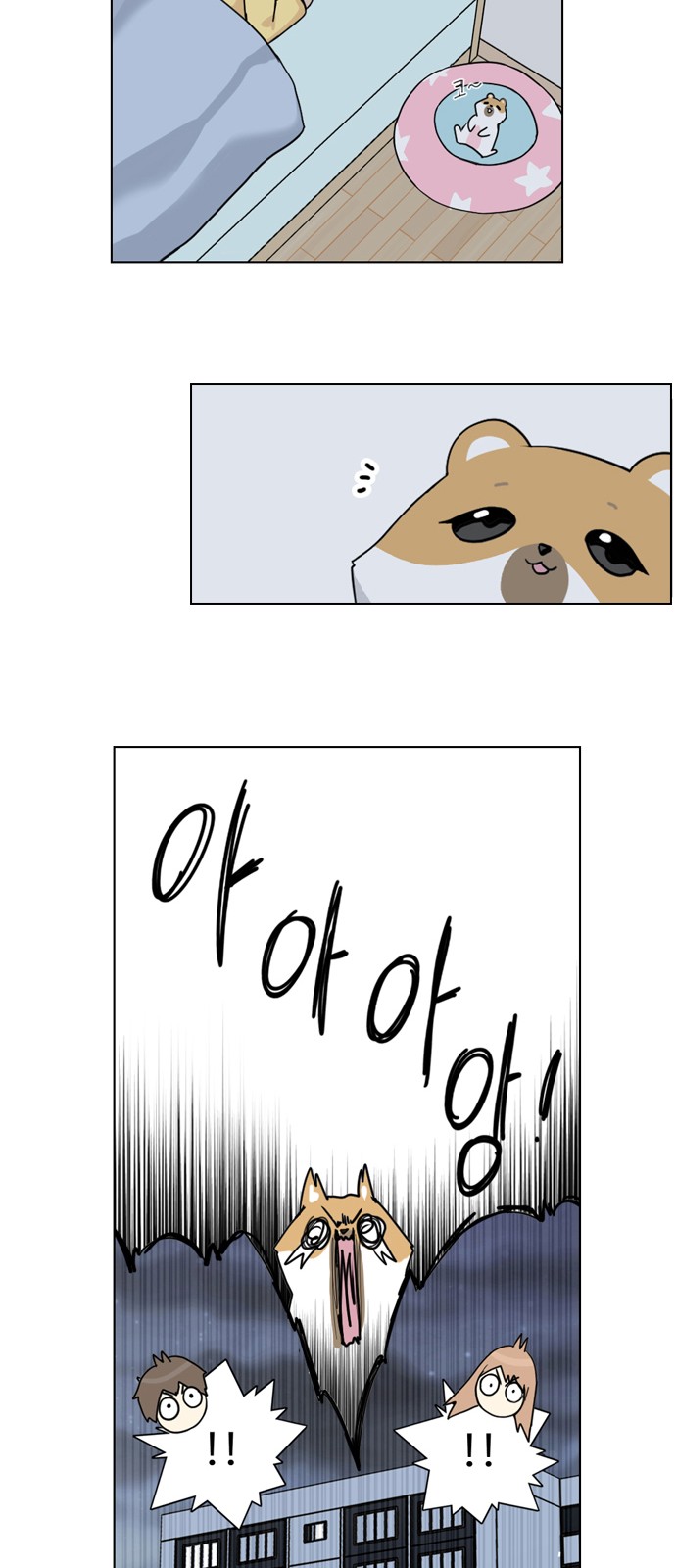 17 페이지