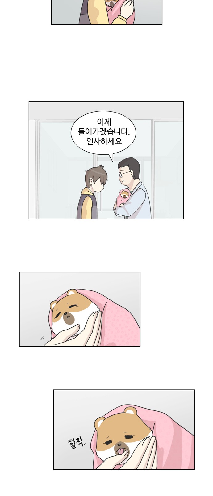 17 페이지