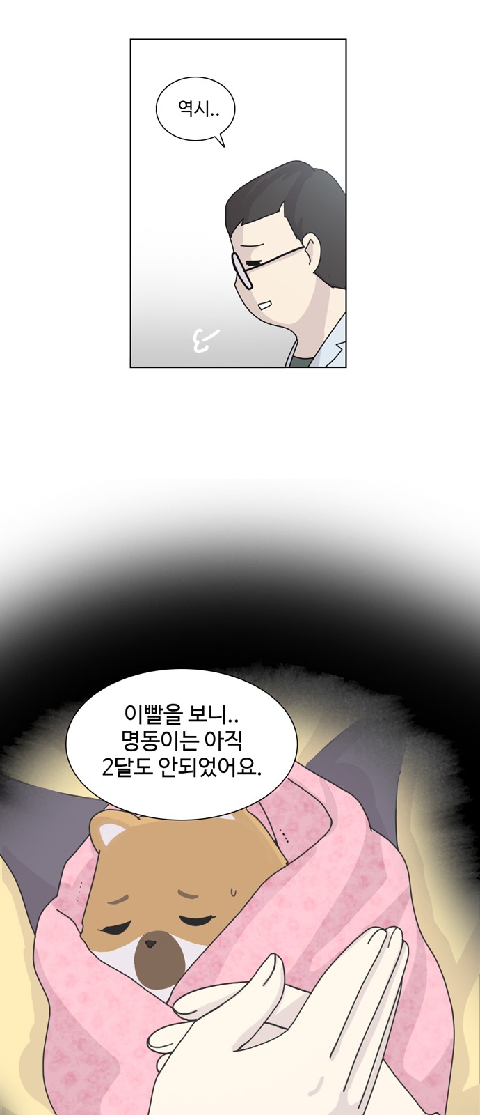 6 페이지