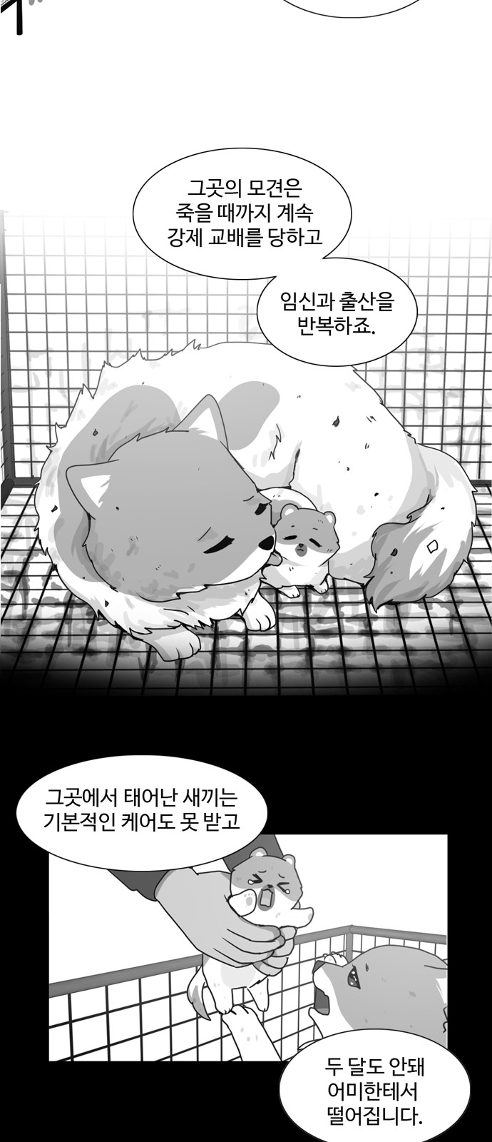 9 페이지