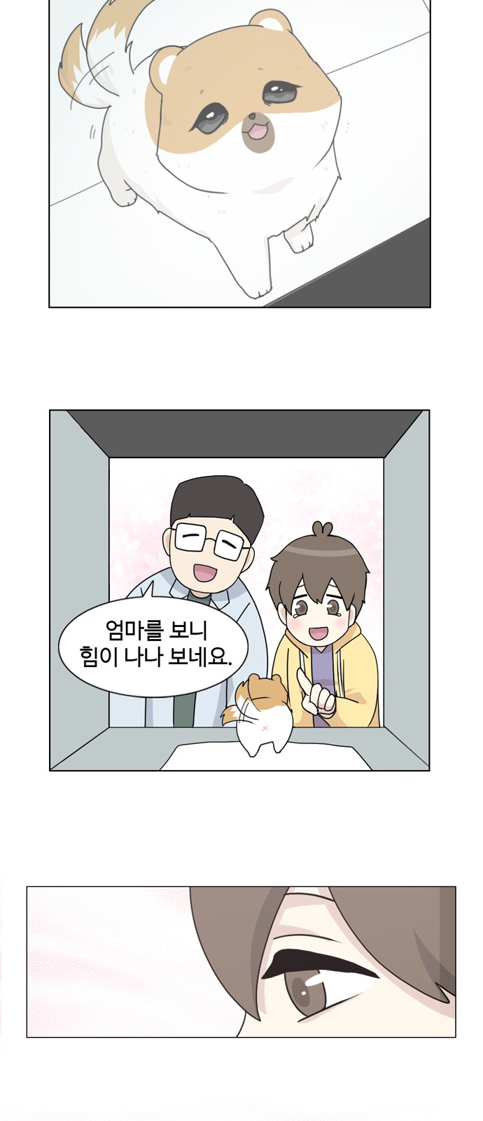 14 페이지