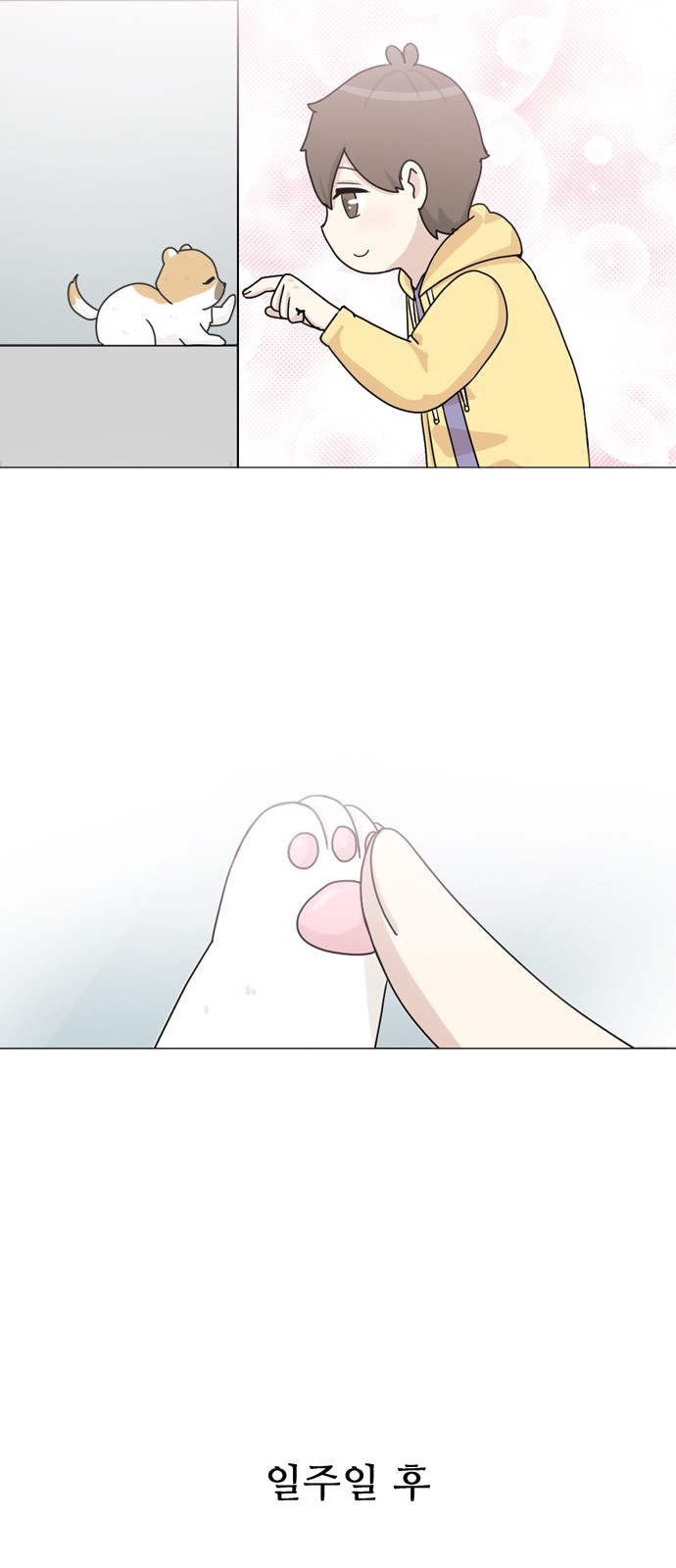 17 페이지