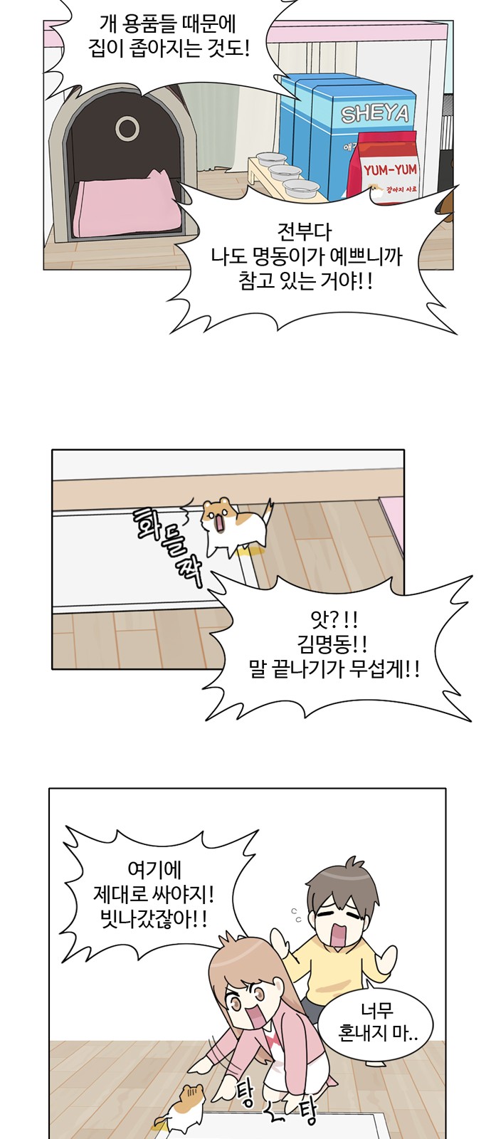 11 페이지