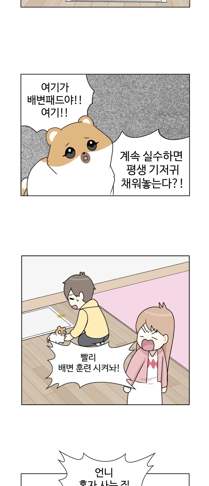 12 페이지