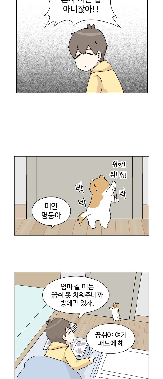13 페이지
