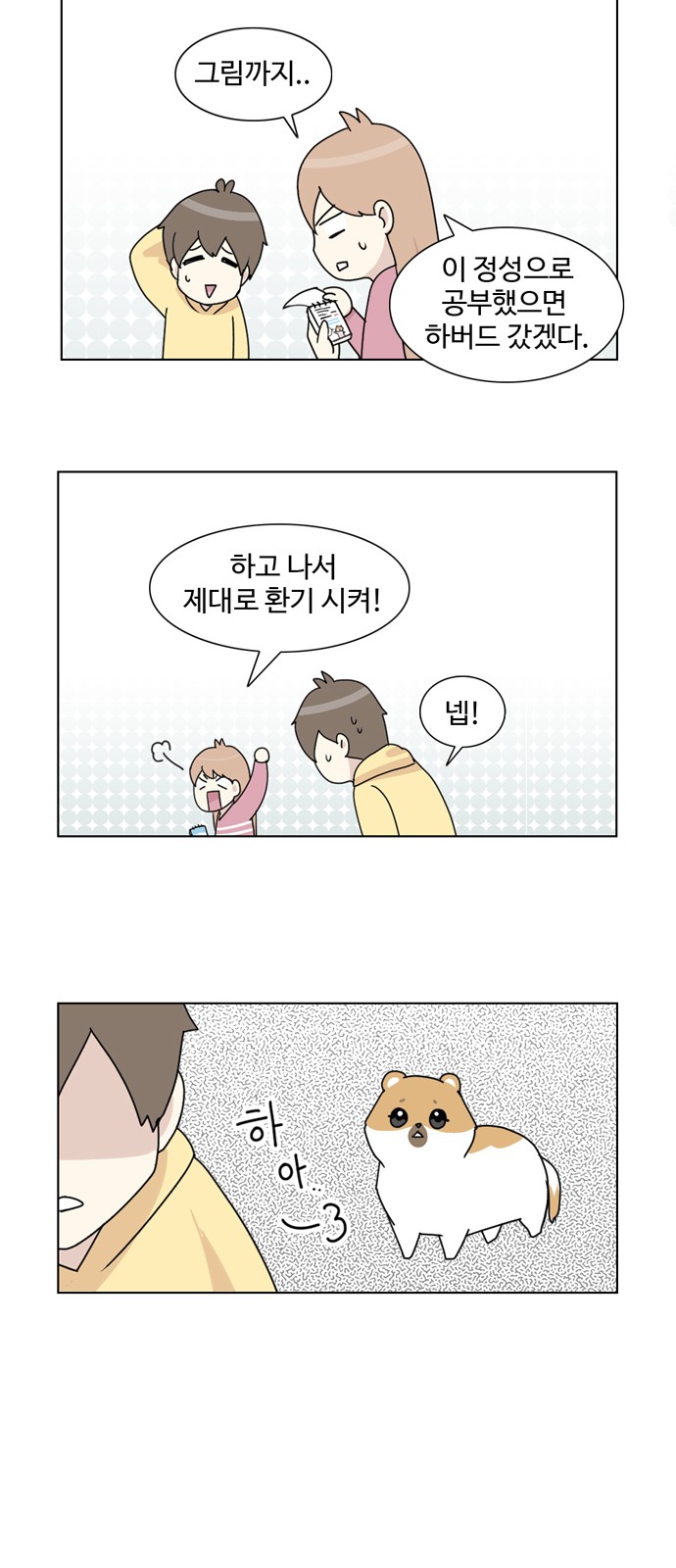 20 페이지