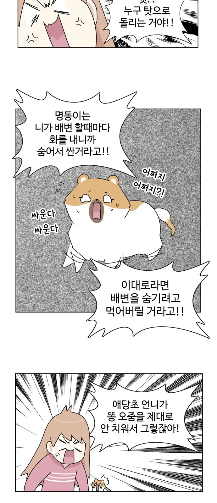 31 페이지