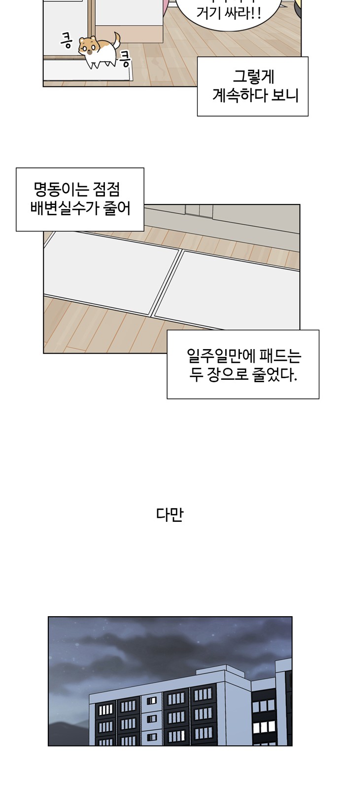 41 페이지