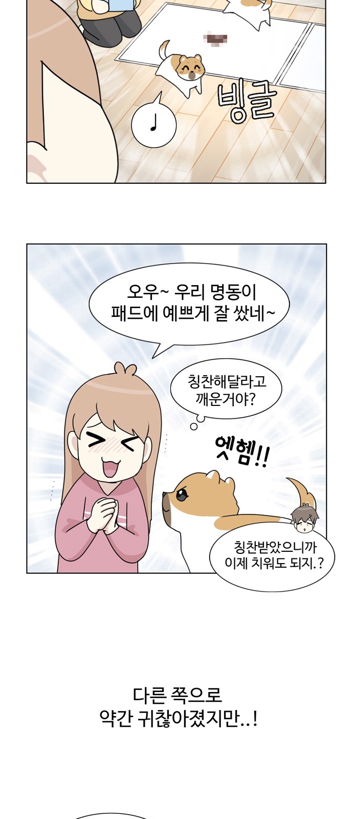43 페이지