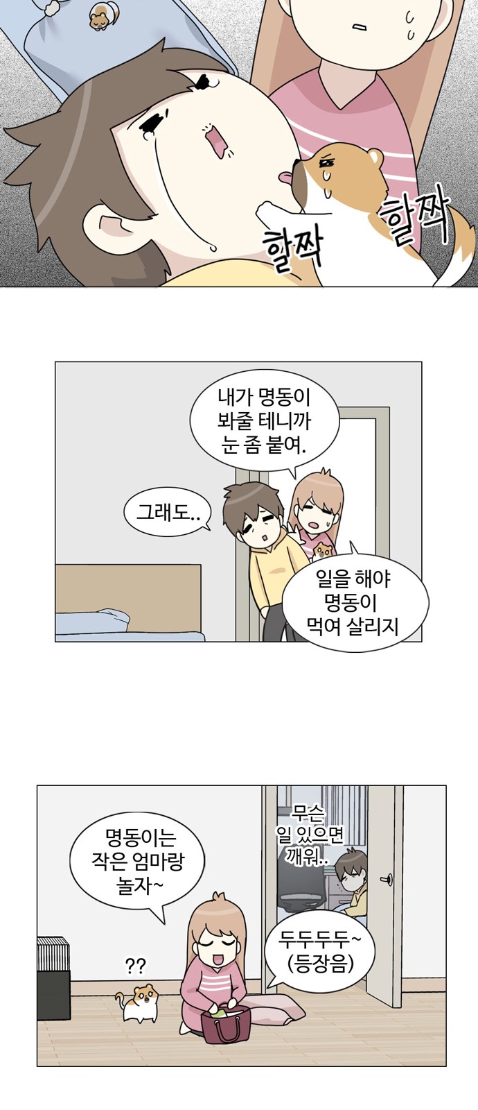 14 페이지