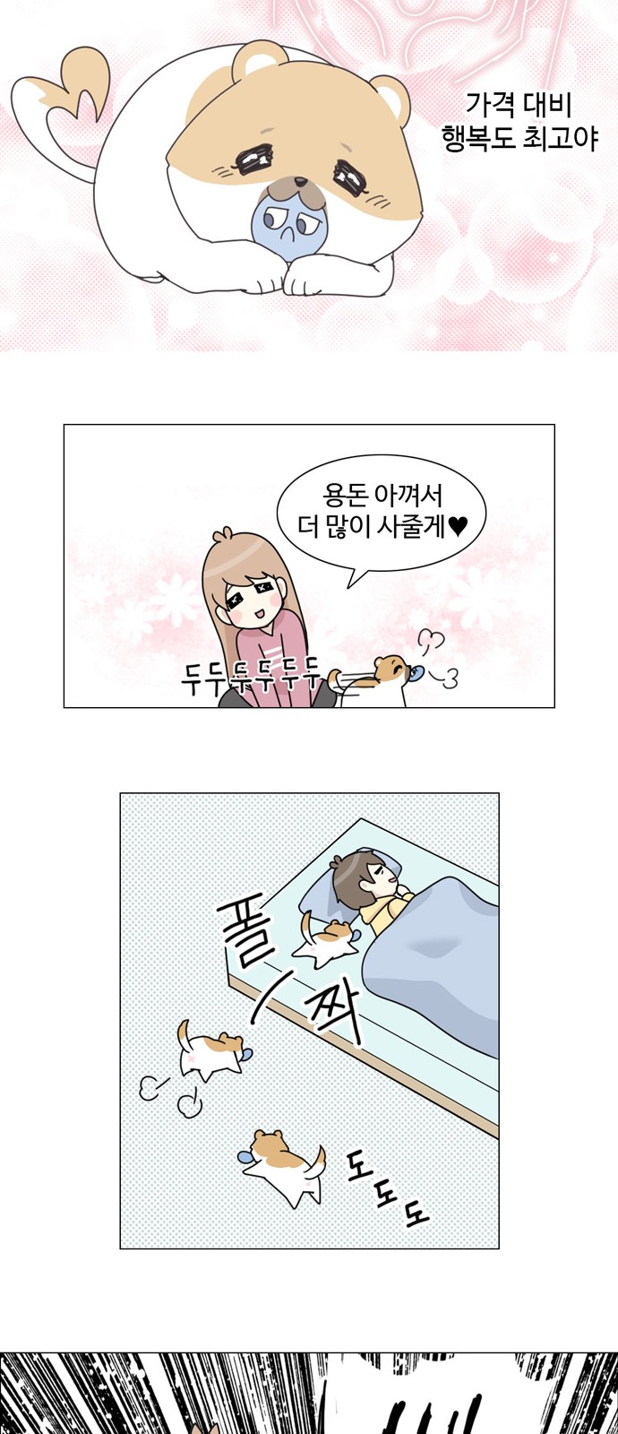 16 페이지
