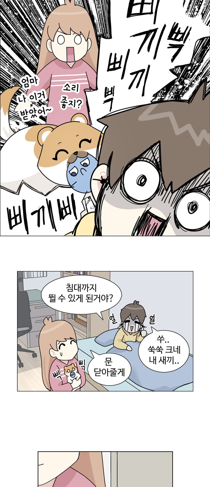 17 페이지