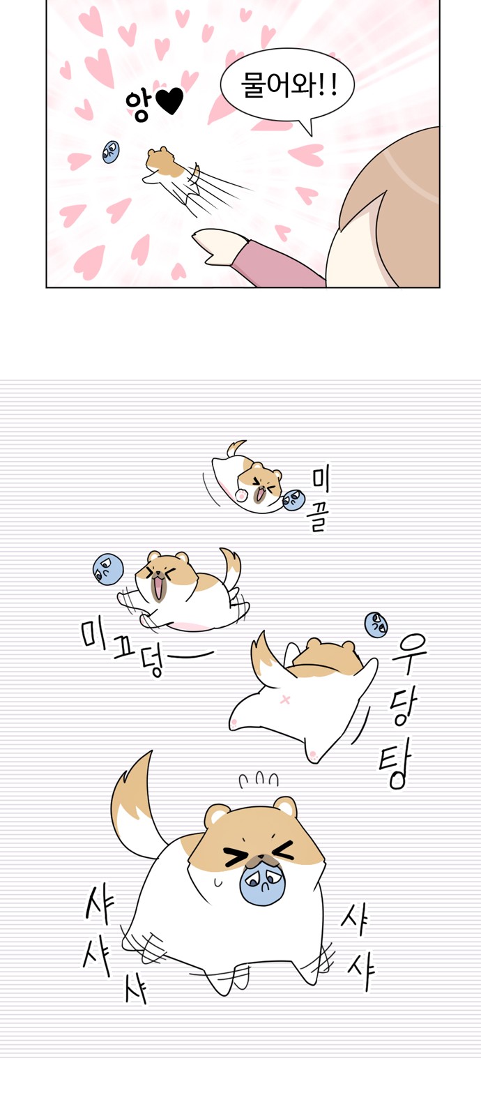 19 페이지