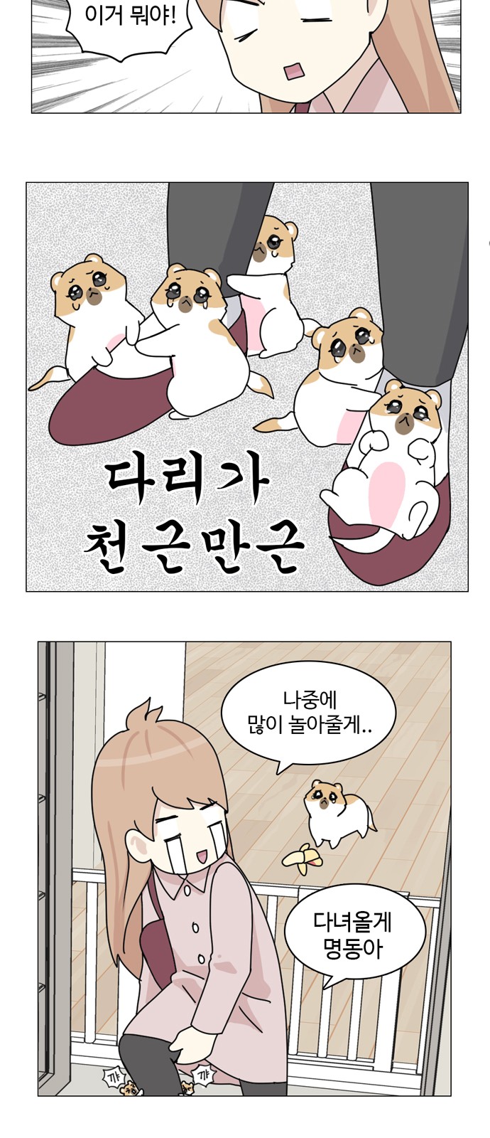 5 페이지