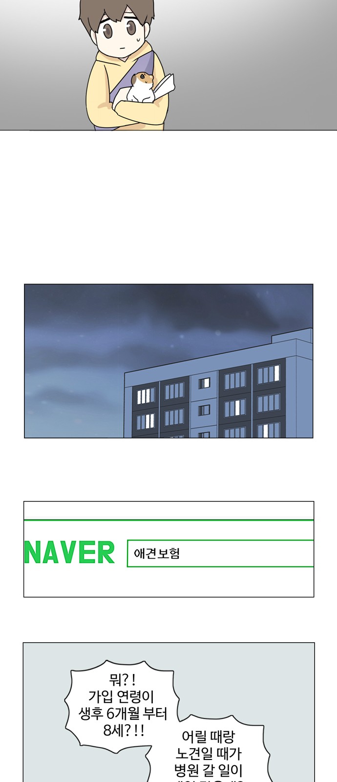13 페이지