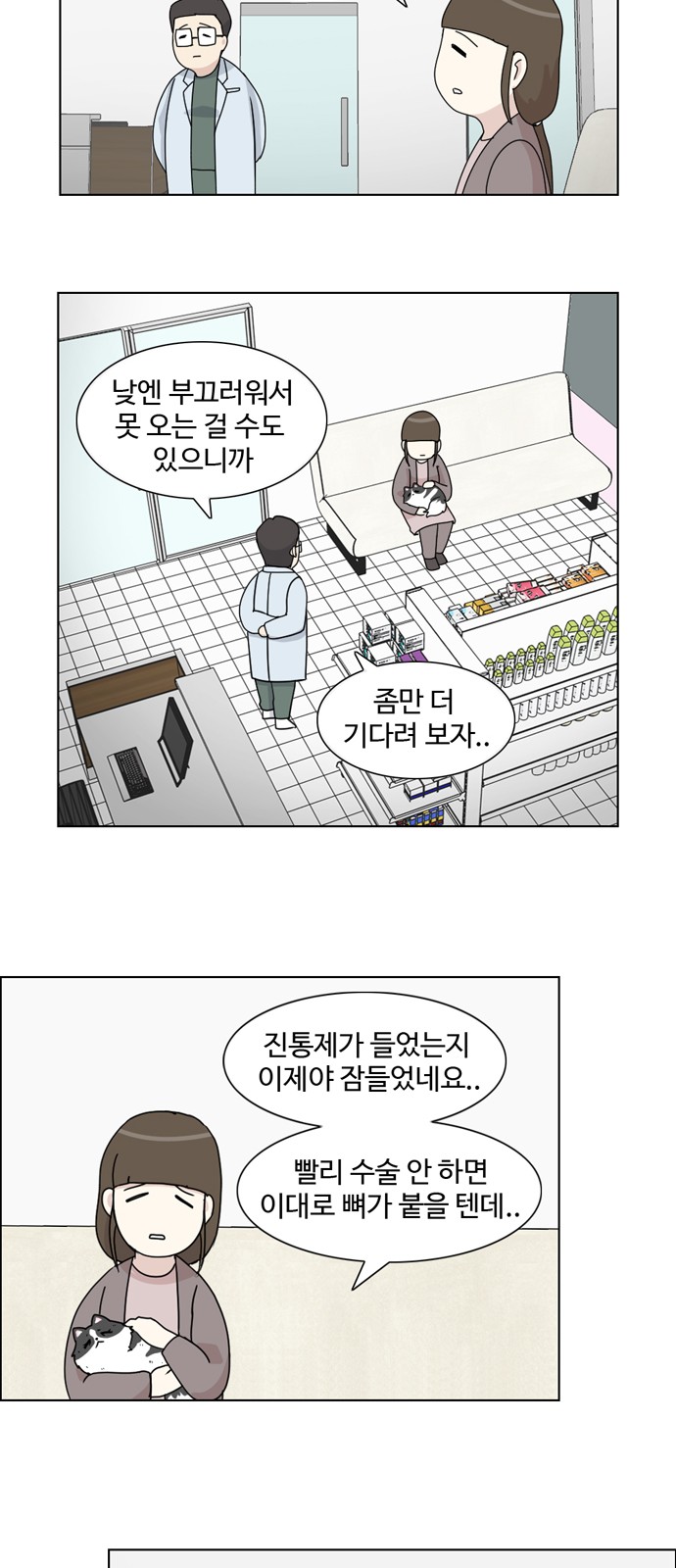 18 페이지