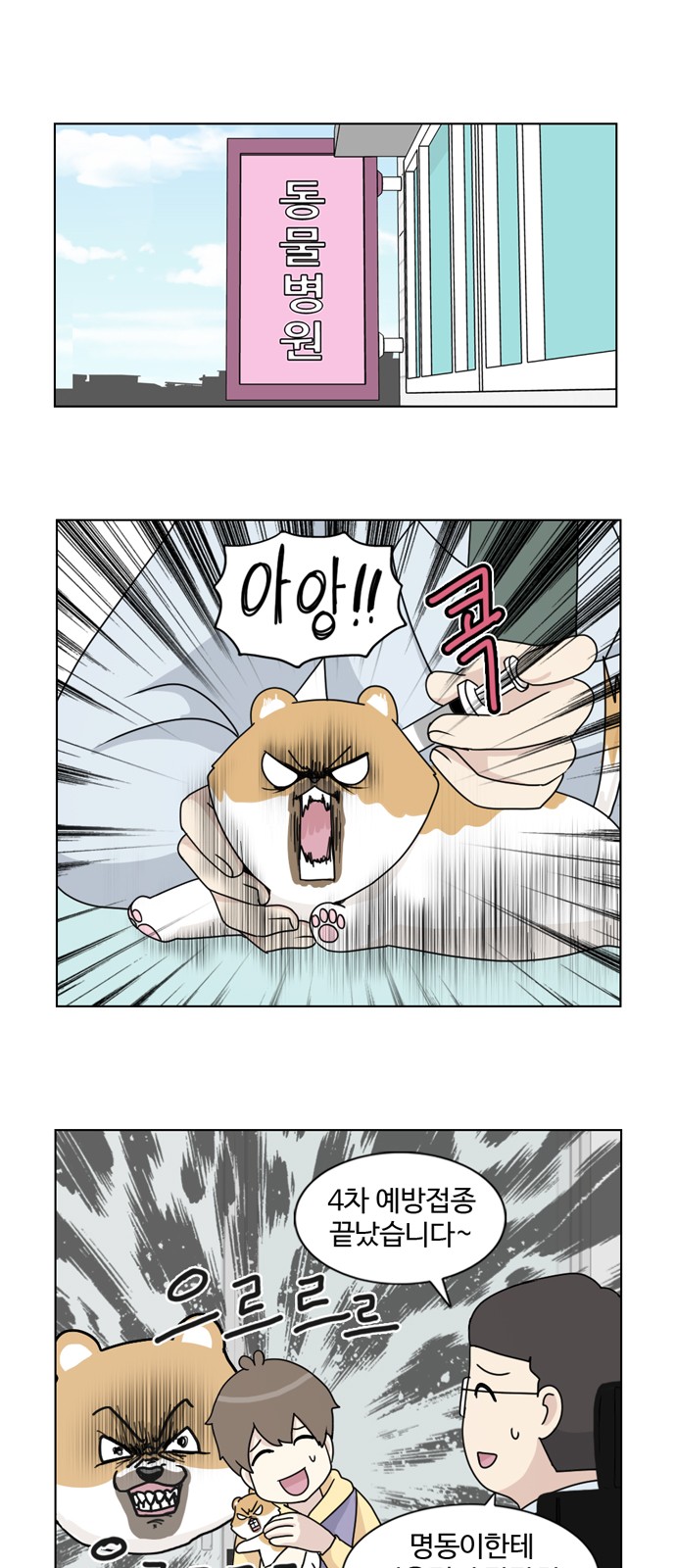 20 페이지