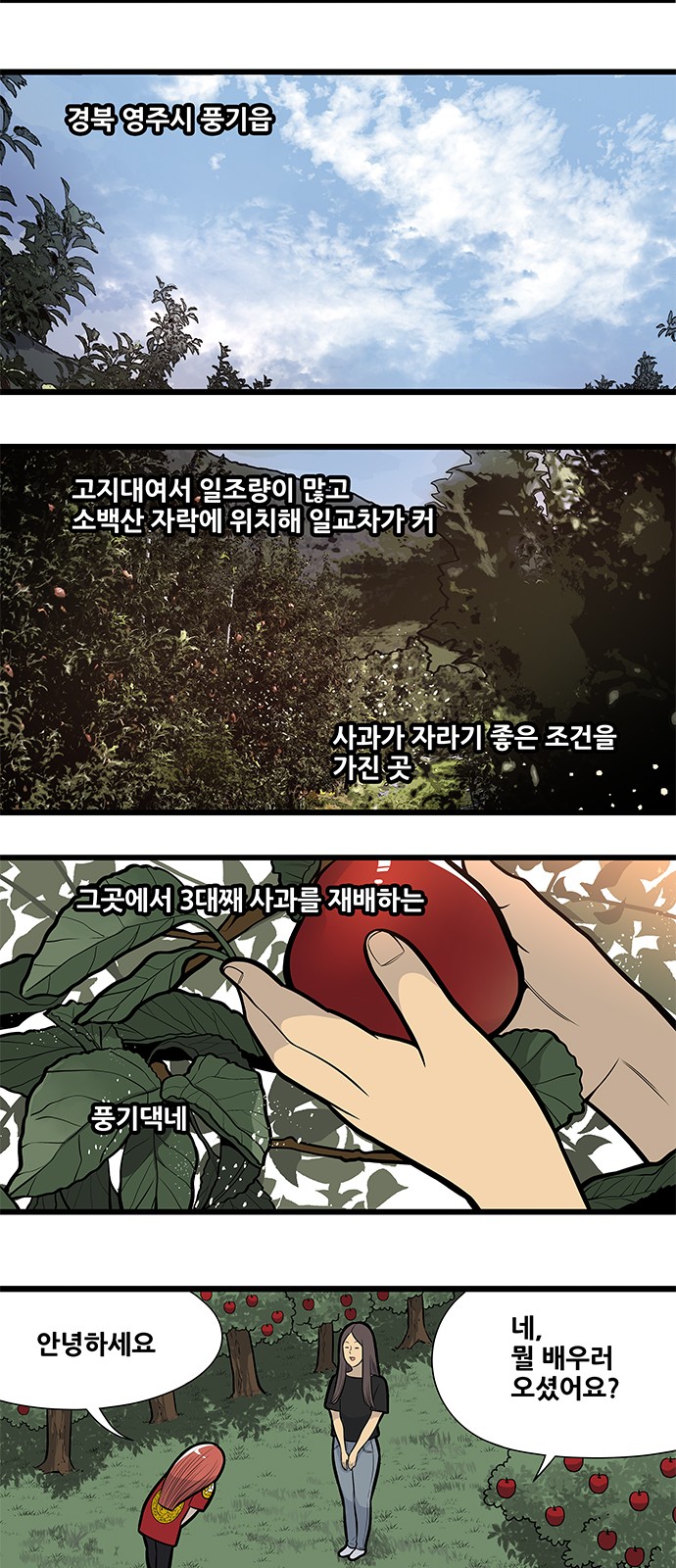 5 페이지