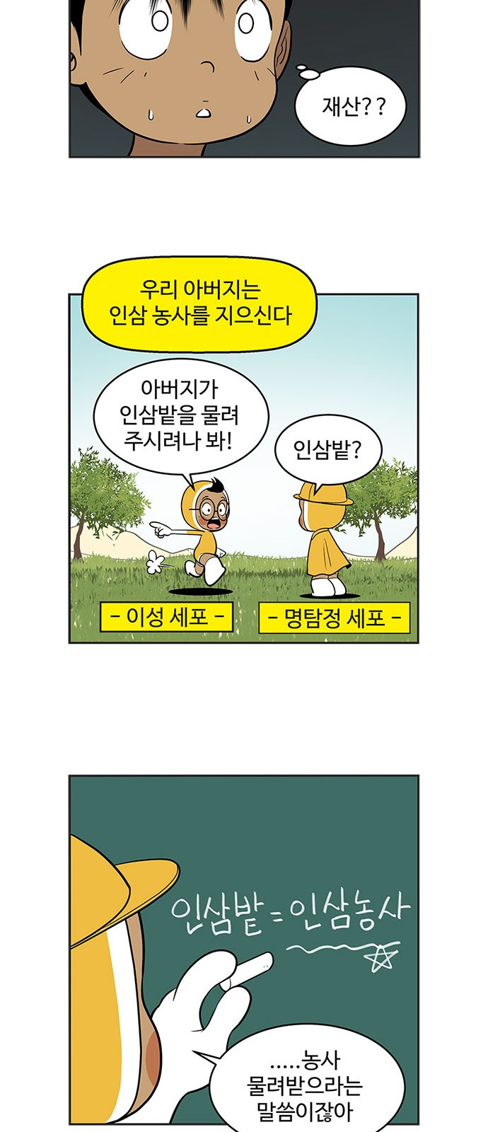 3 페이지