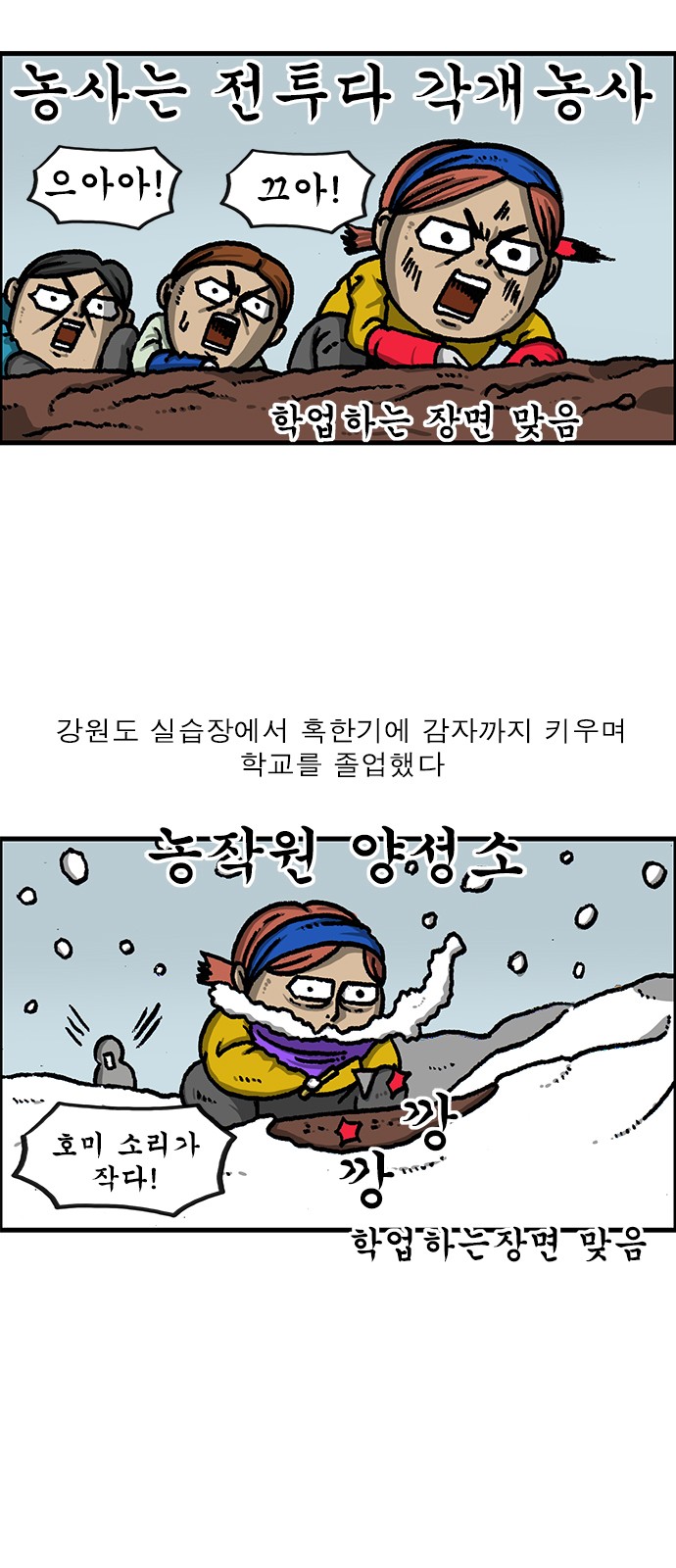 5 페이지