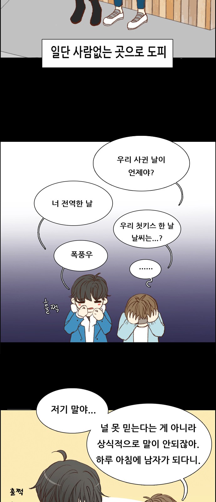 15 페이지