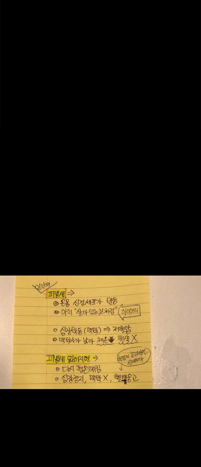 71 페이지
