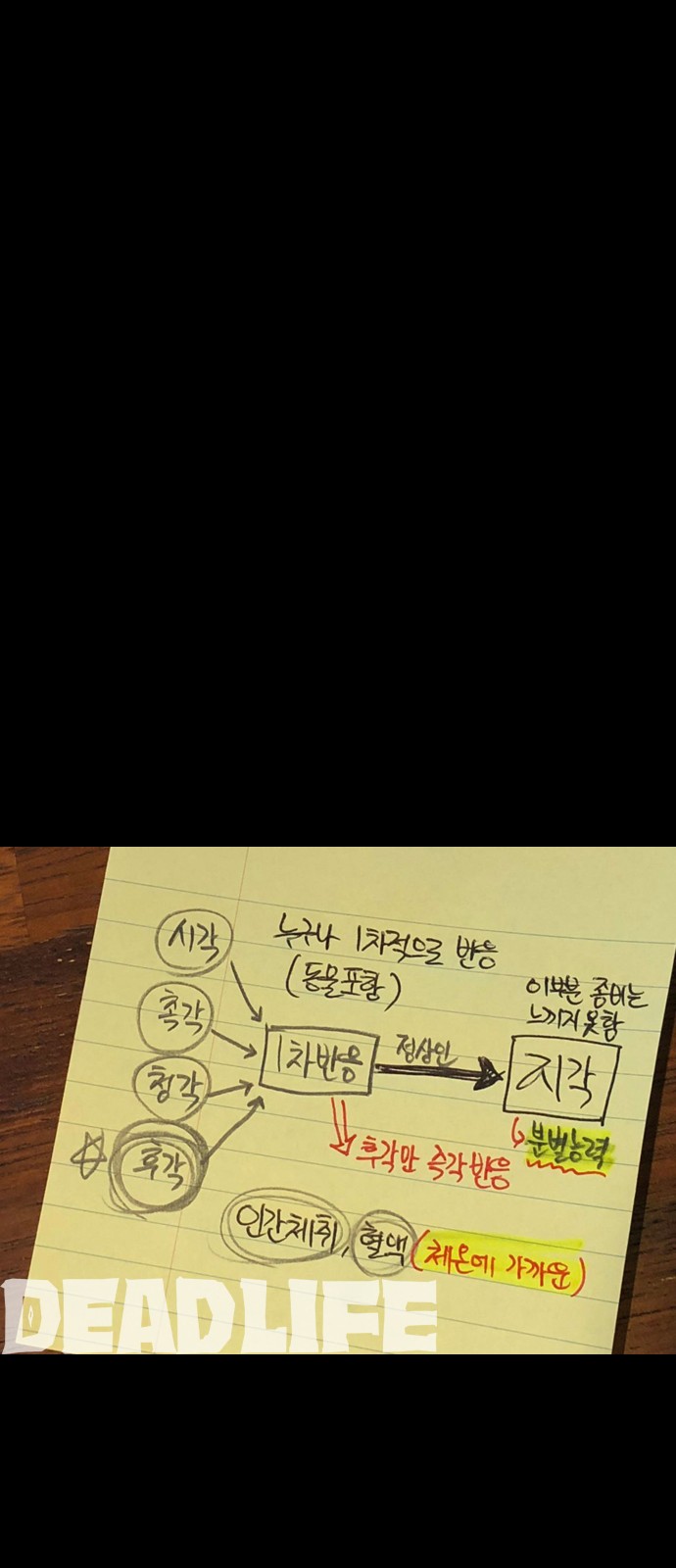 84 페이지
