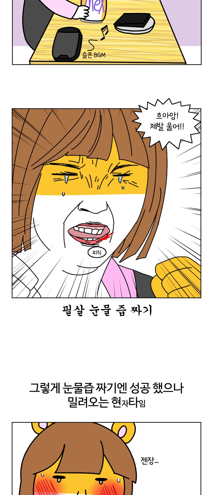 12 페이지