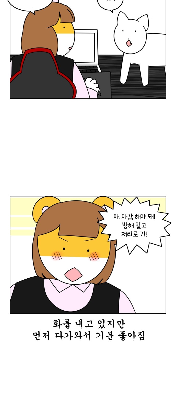 15 페이지