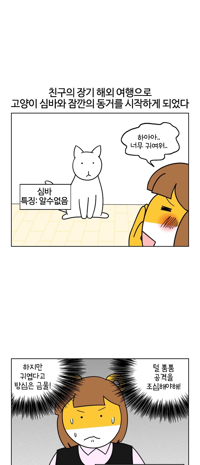 5 페이지