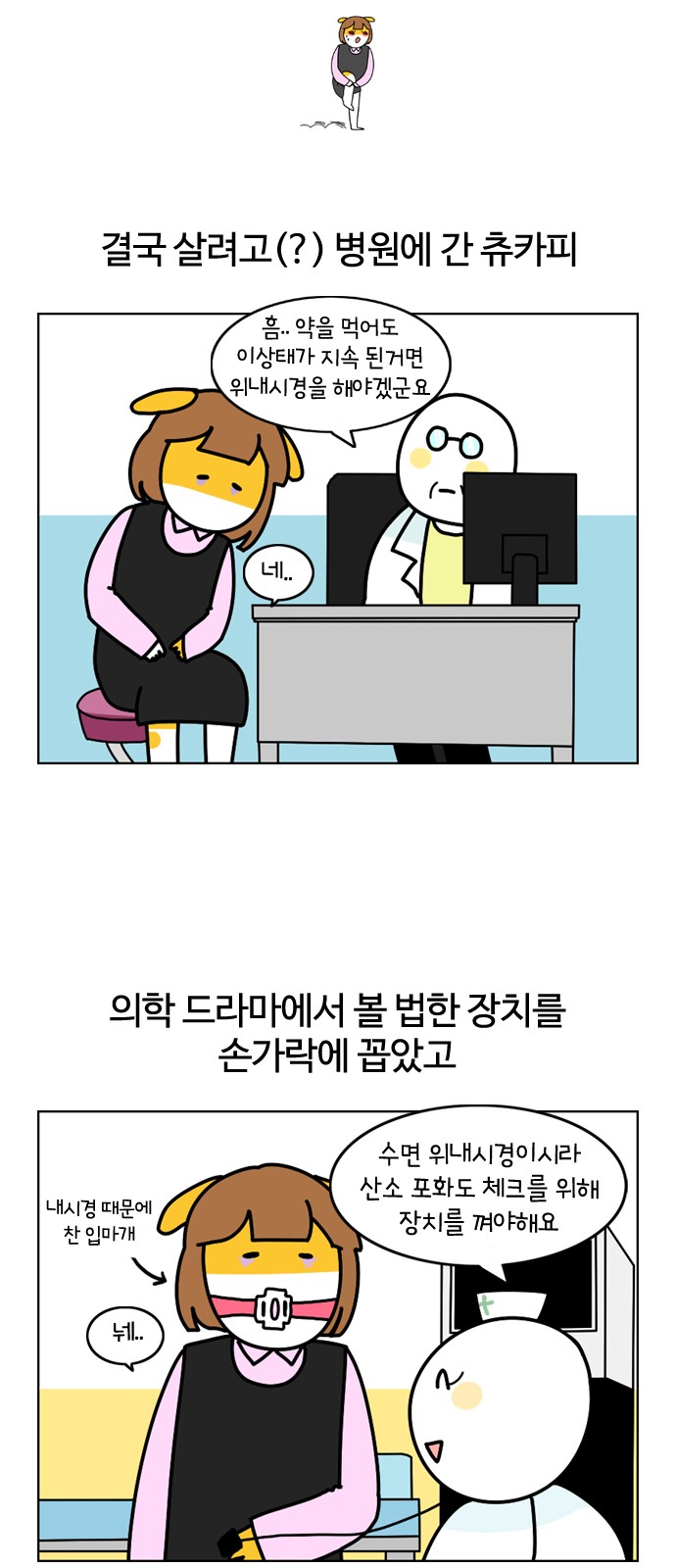 12 페이지