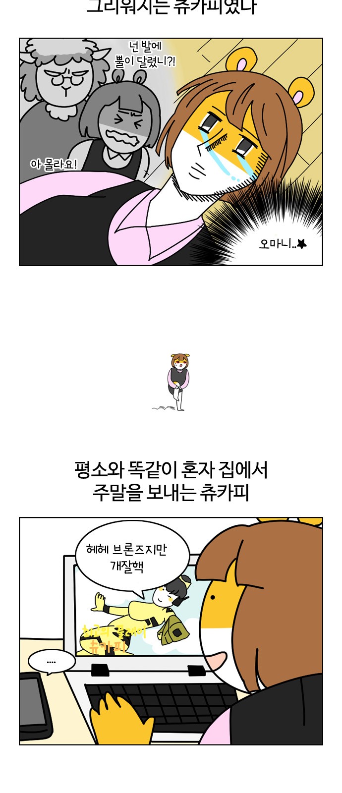 5 페이지