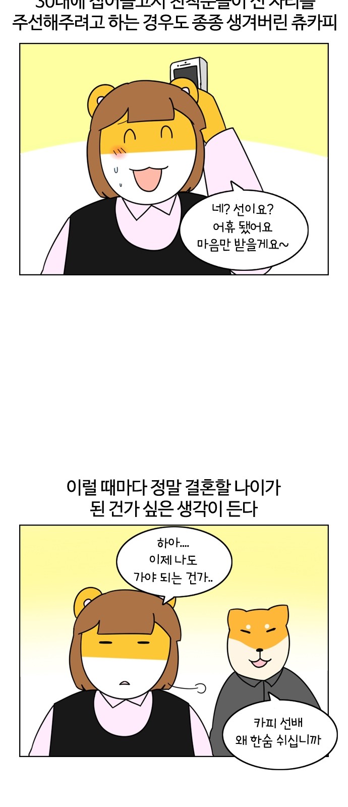 12 페이지