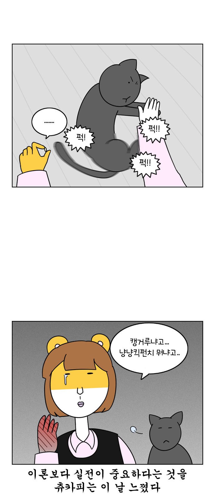 16 페이지