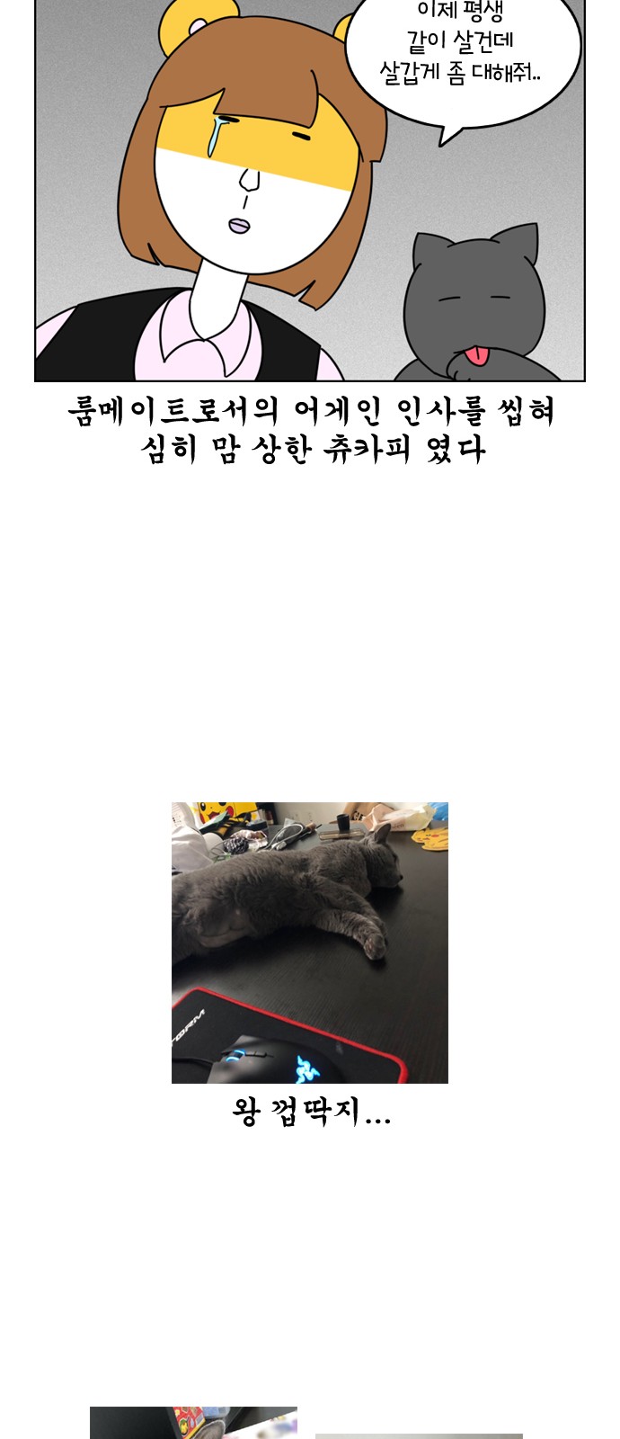 25 페이지
