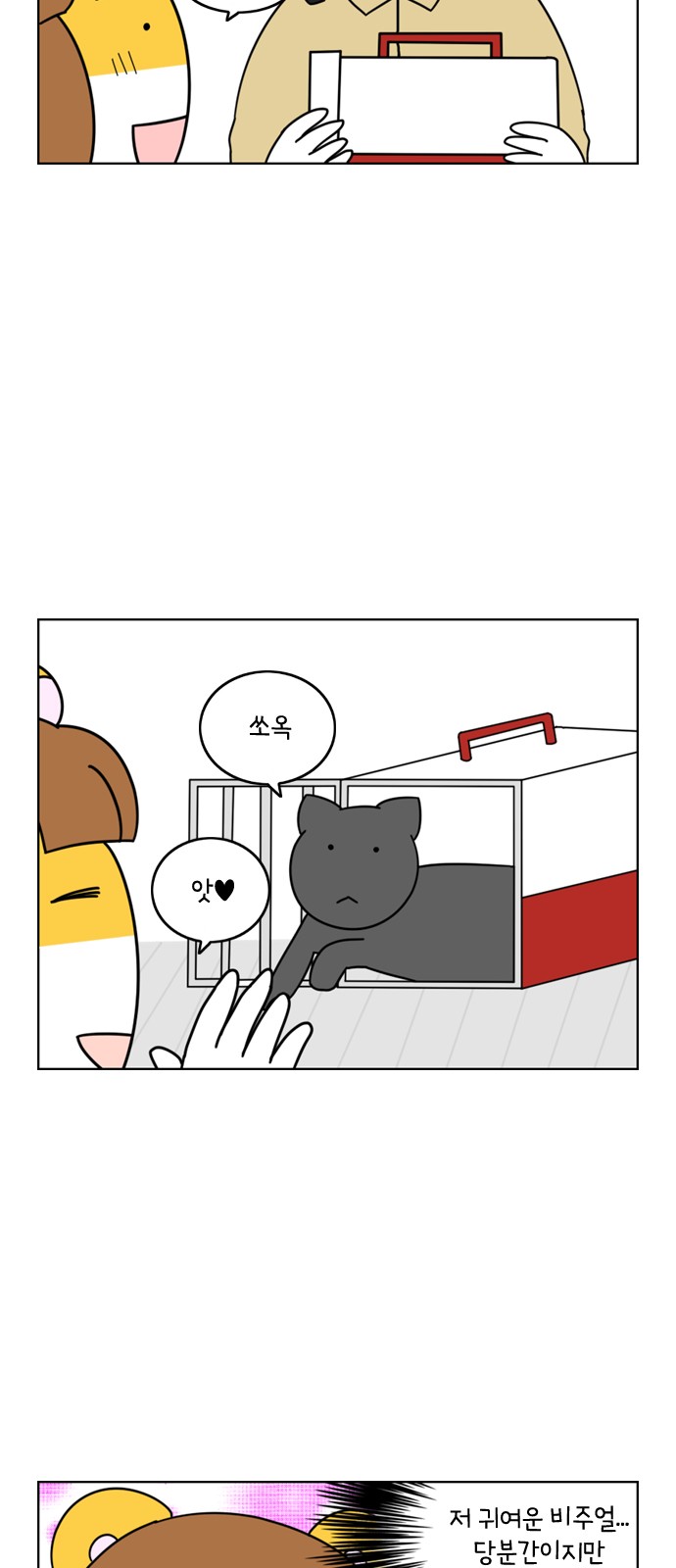 5 페이지