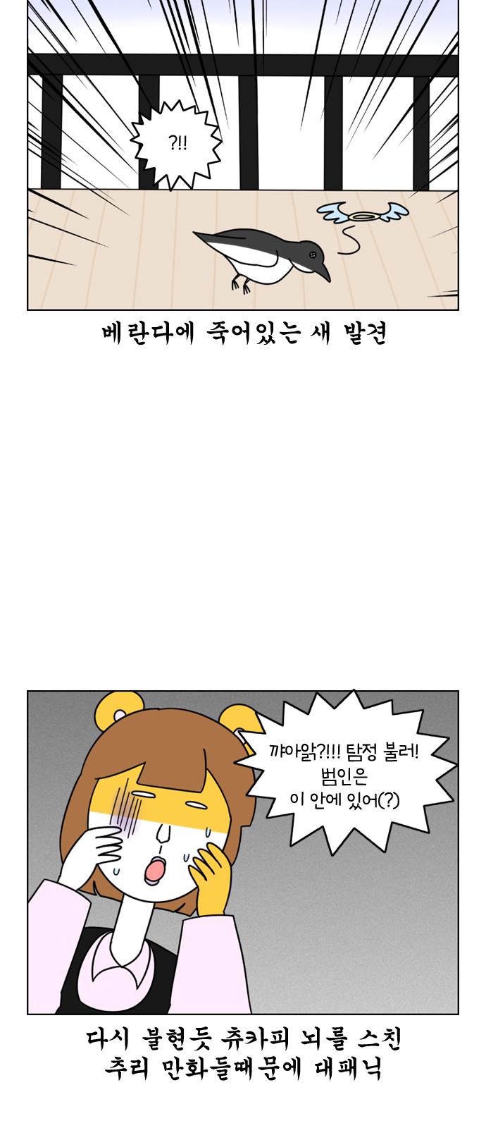 13 페이지