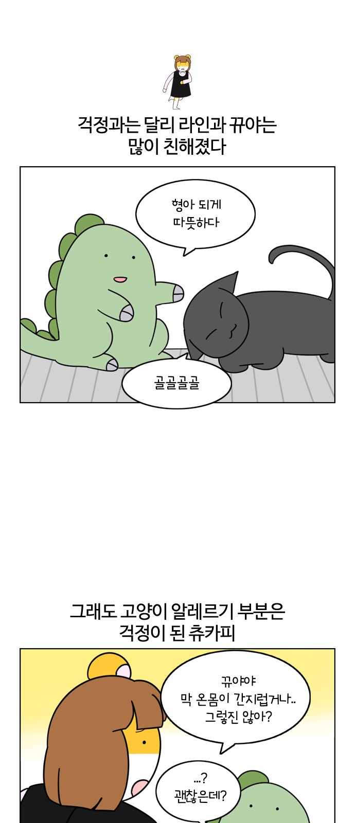 12 페이지