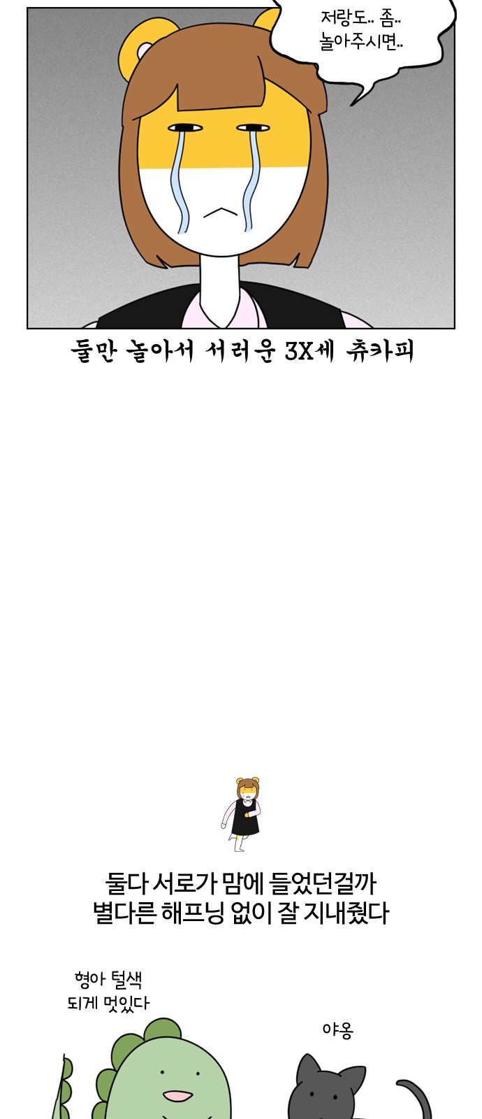 15 페이지