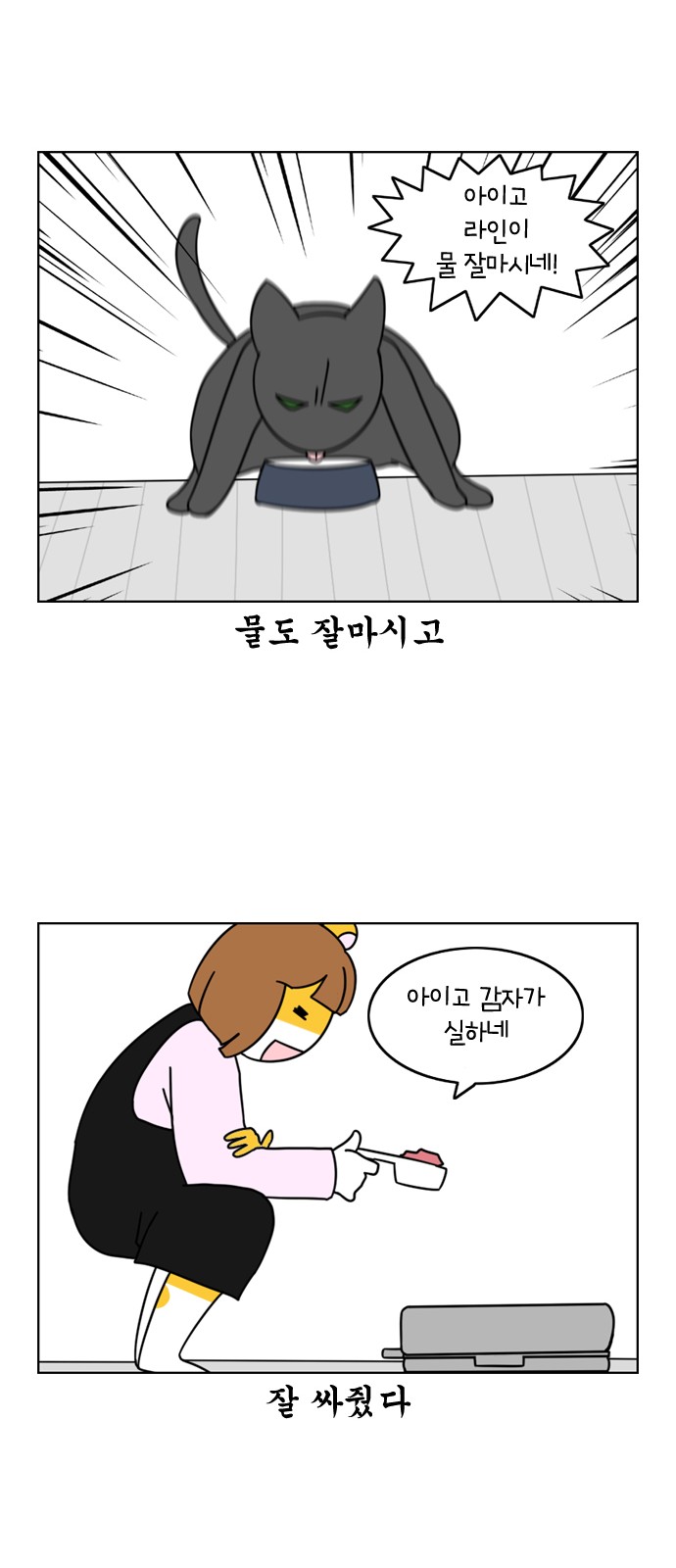 10 페이지