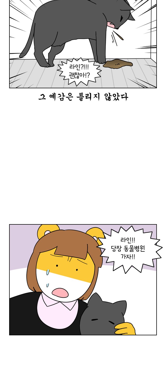 20 페이지