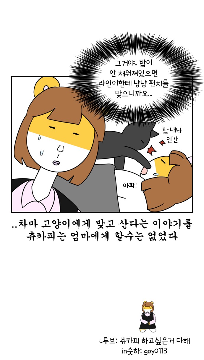 25 페이지