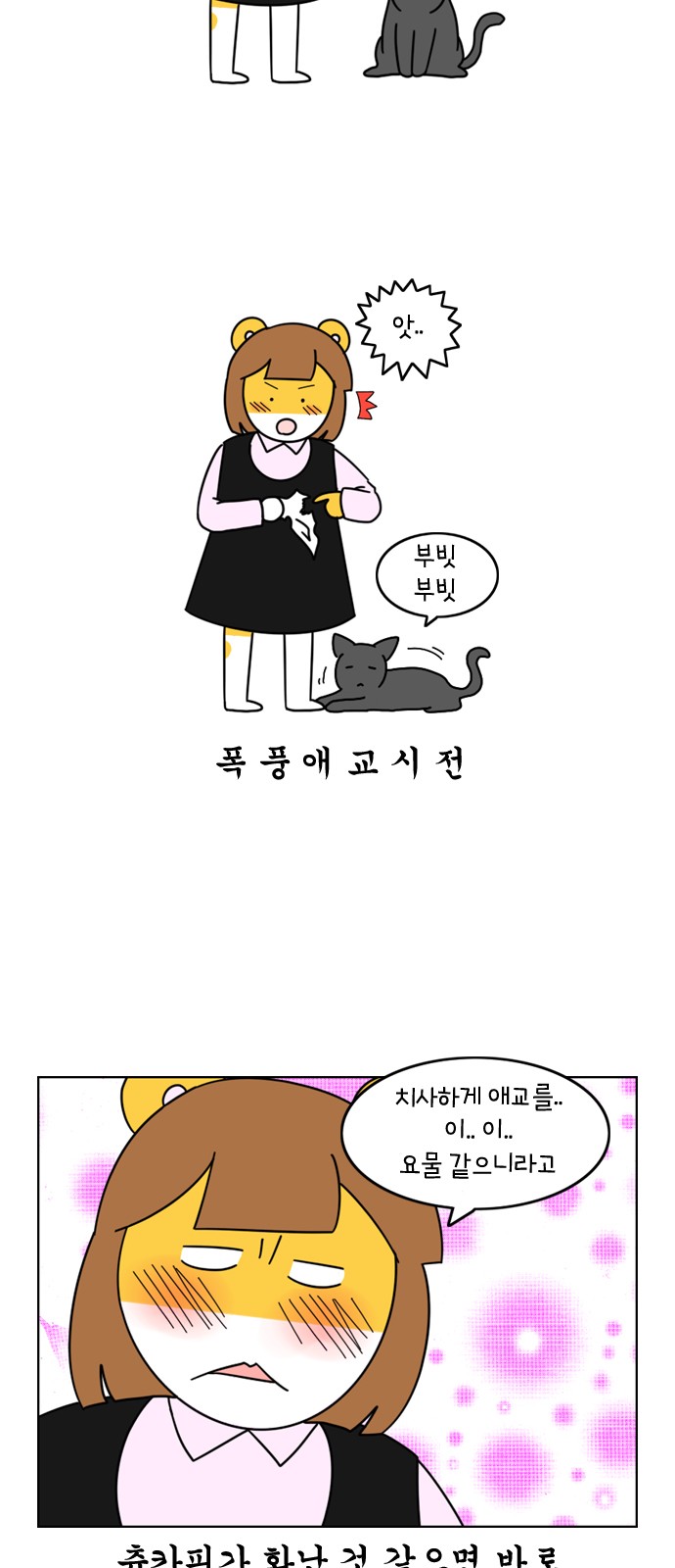 16 페이지