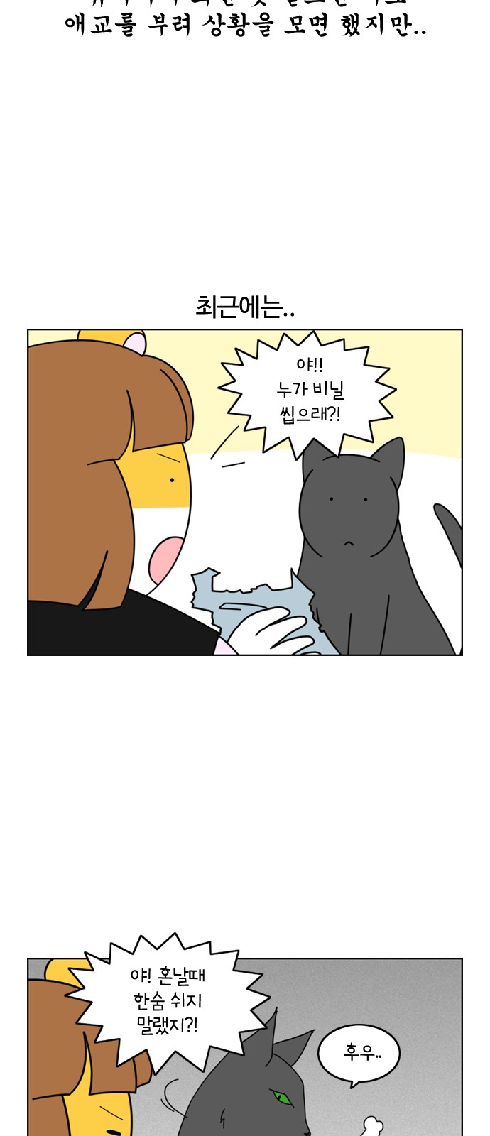 17 페이지