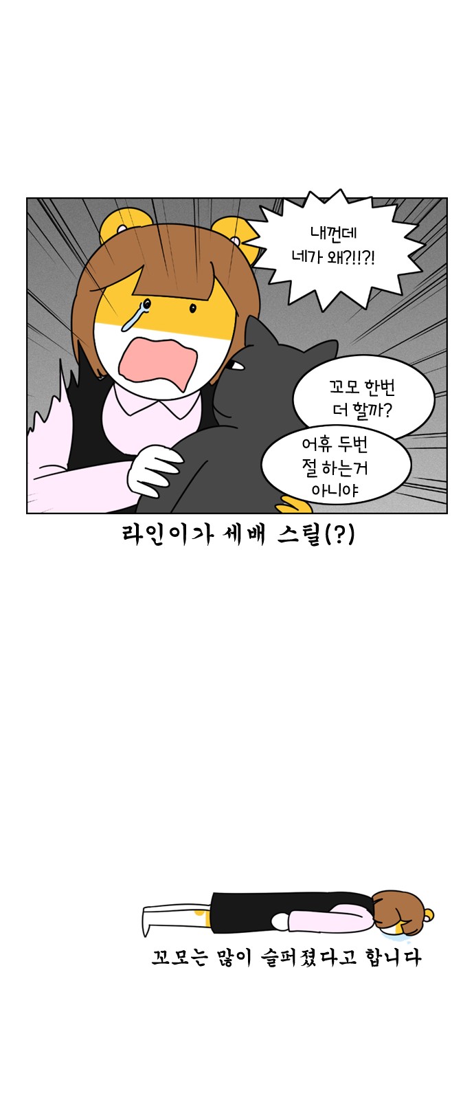20 페이지