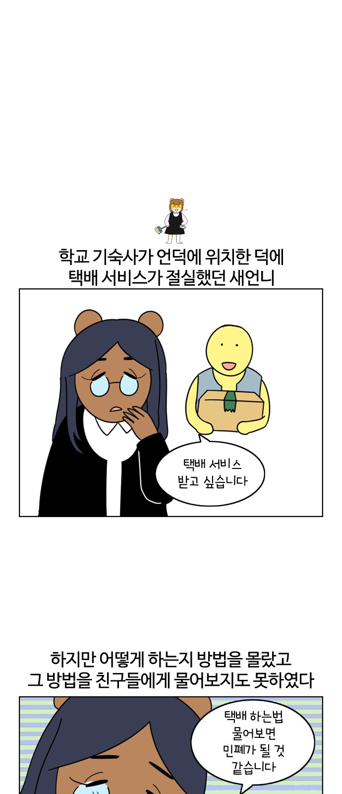 17 페이지