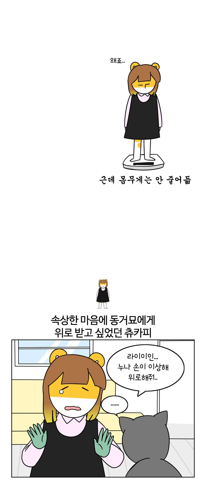 20 페이지