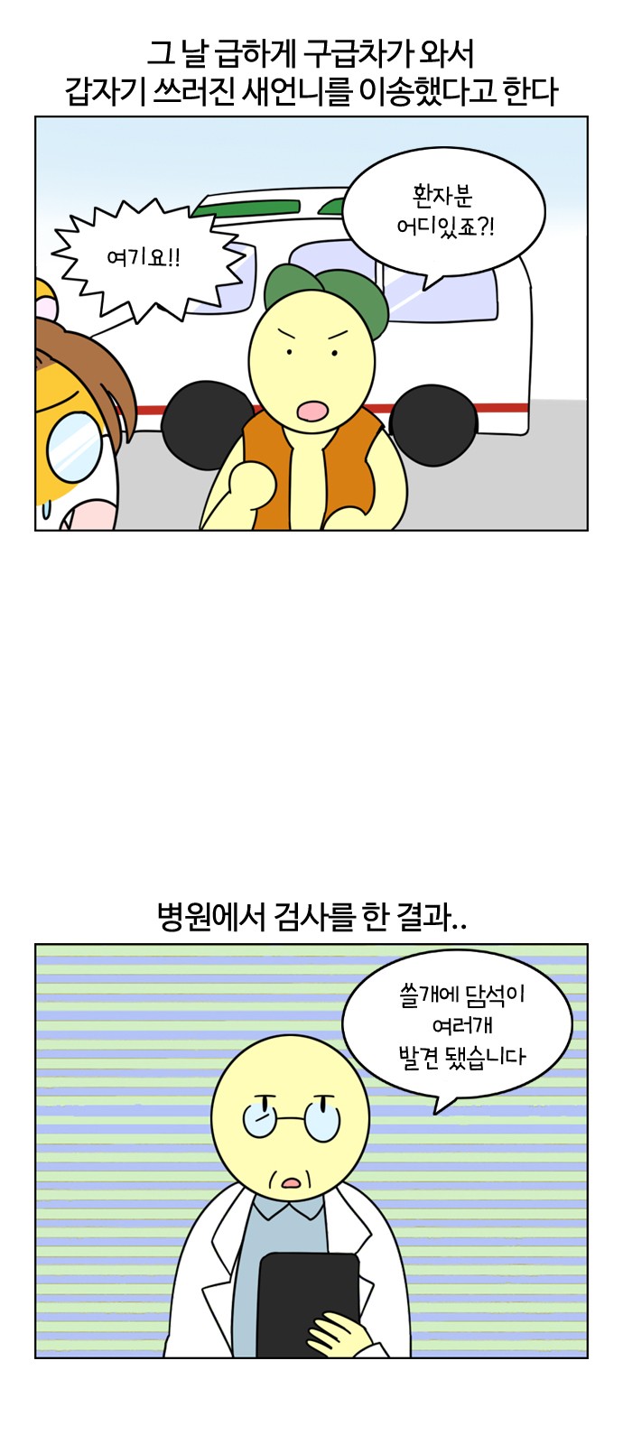 5 페이지